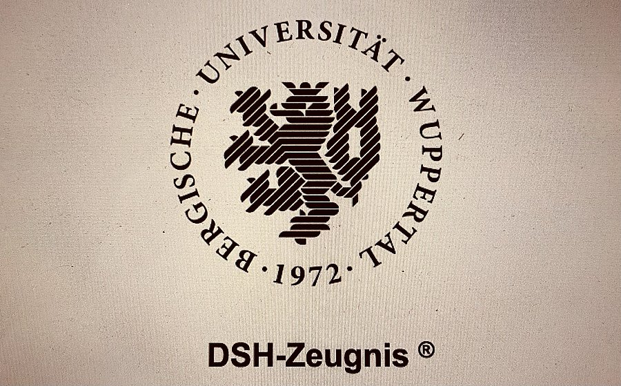 Foto des DSH Logos