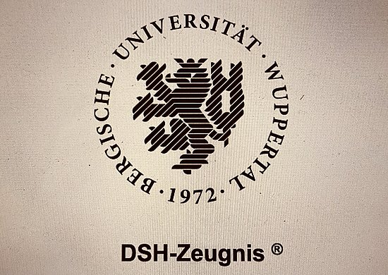 Foto des DSH Logos